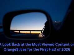 A Look Back at Some of the Most Viewed Protest-Related Items on OrangeSlices for the First Half of 2026